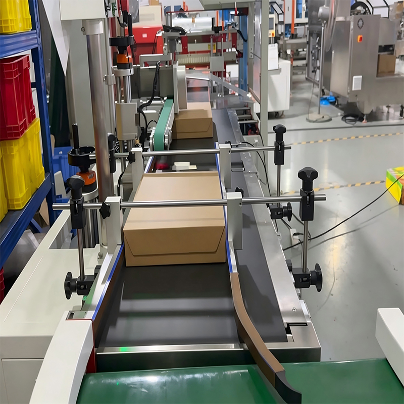 Automatic Food Date Packaging Production Lin